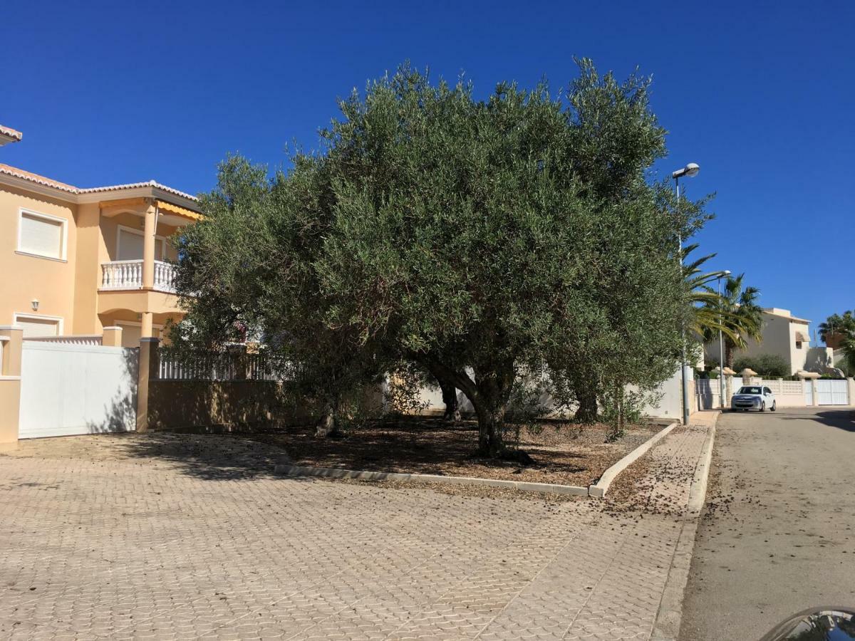 Ferienhaus Frente Al Mar *